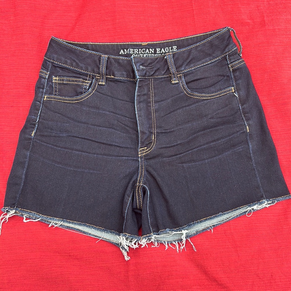 American Eagle Outfitters Shorts Size 10
